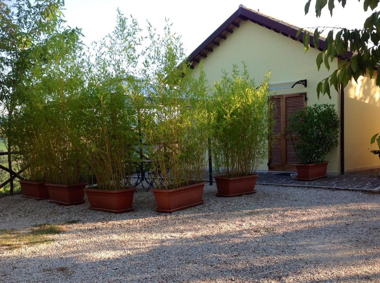 B&B Terra Di Mezzo Ascoli Piceno Exteriör bild